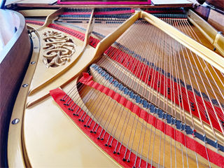 Photo de l’intérieur d’un piano à queue Pleyel